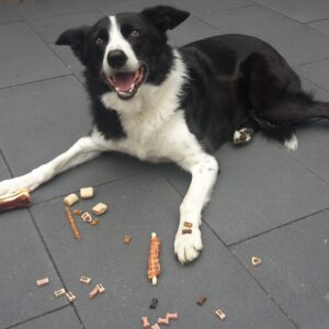 Impuls controle rondom eten